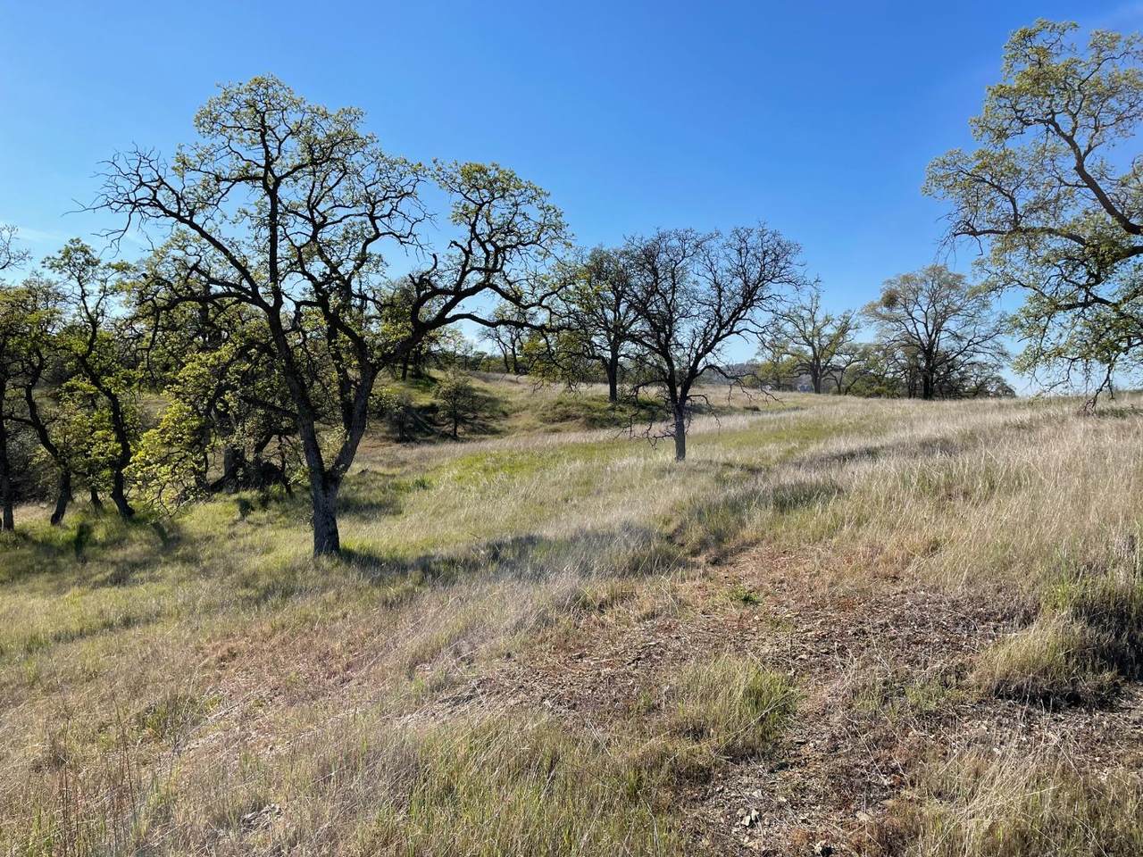 3301 Clavel Way - Photo 1