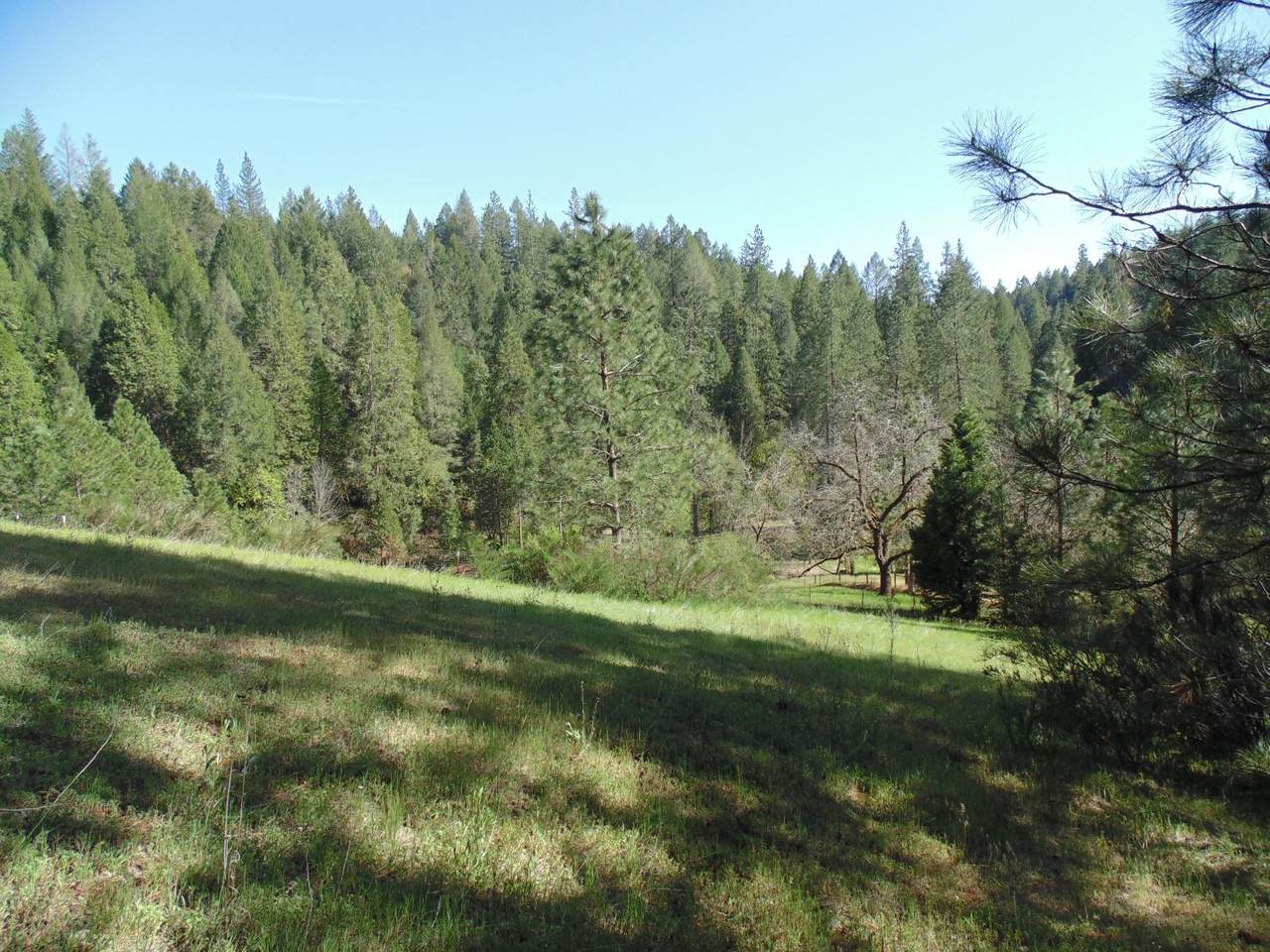 6001 Bear Creek Road - Photo 1