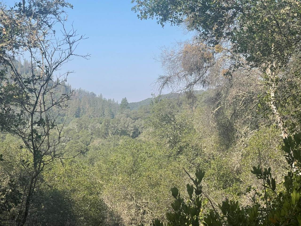 15334 Metcalf Road - Photo 1