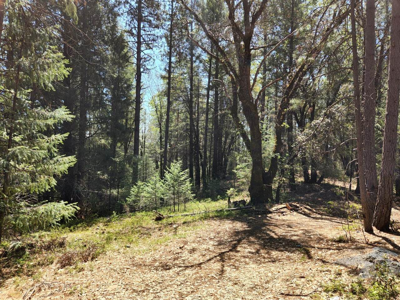18100 Greenhorn Road - Photo 1