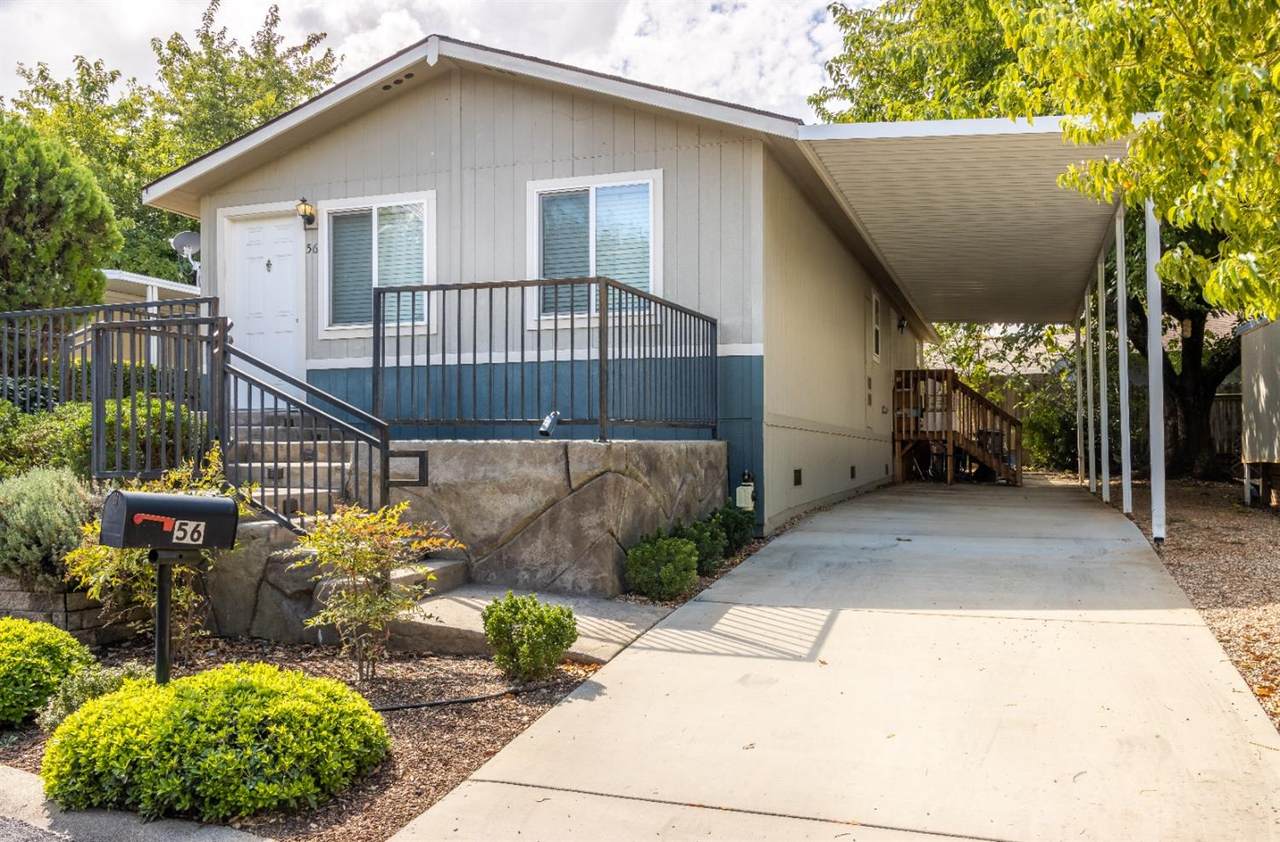 56 Larkspur Avenue - Photo 1