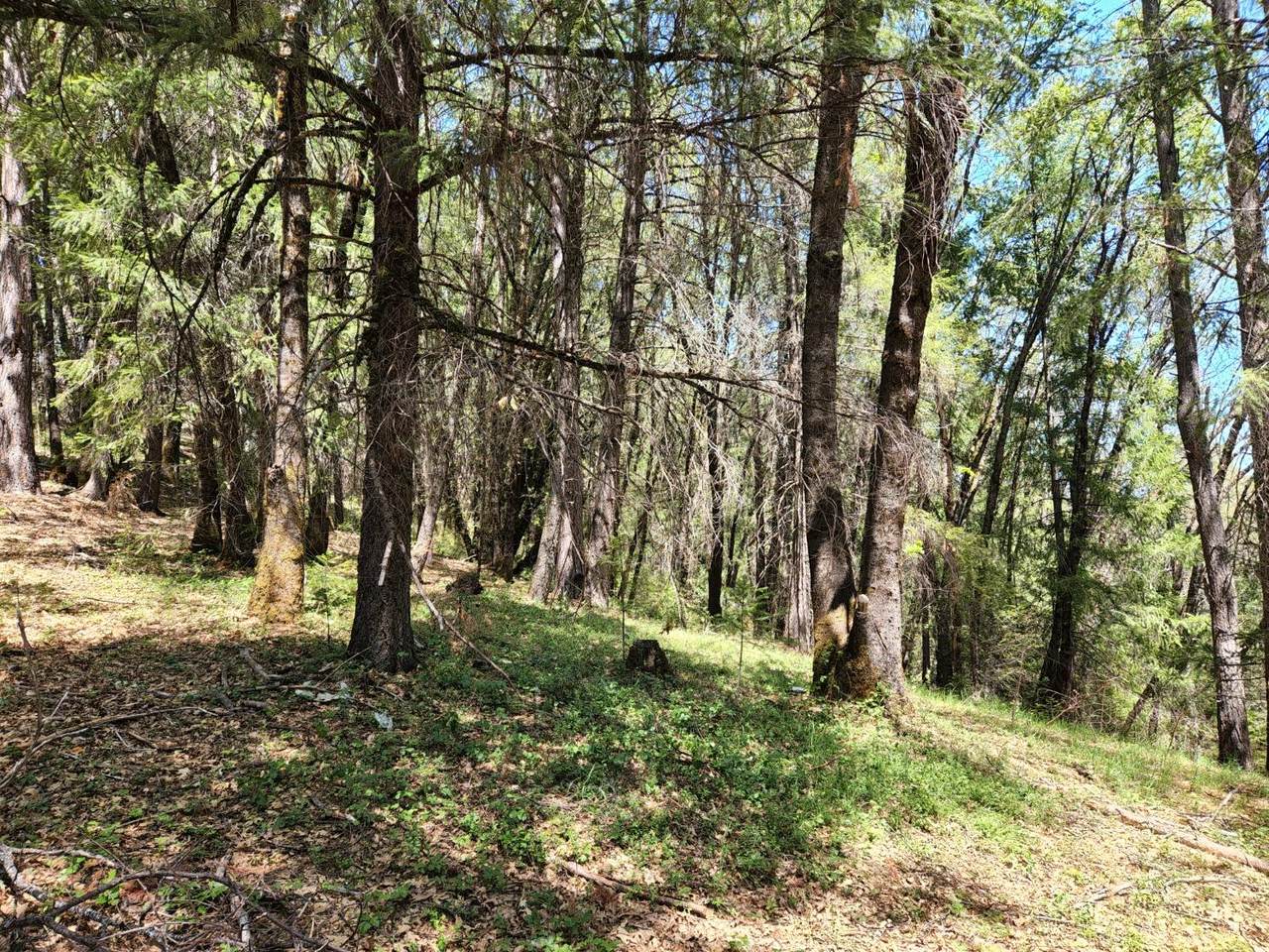 18148 Greenhorn Road - Photo 1