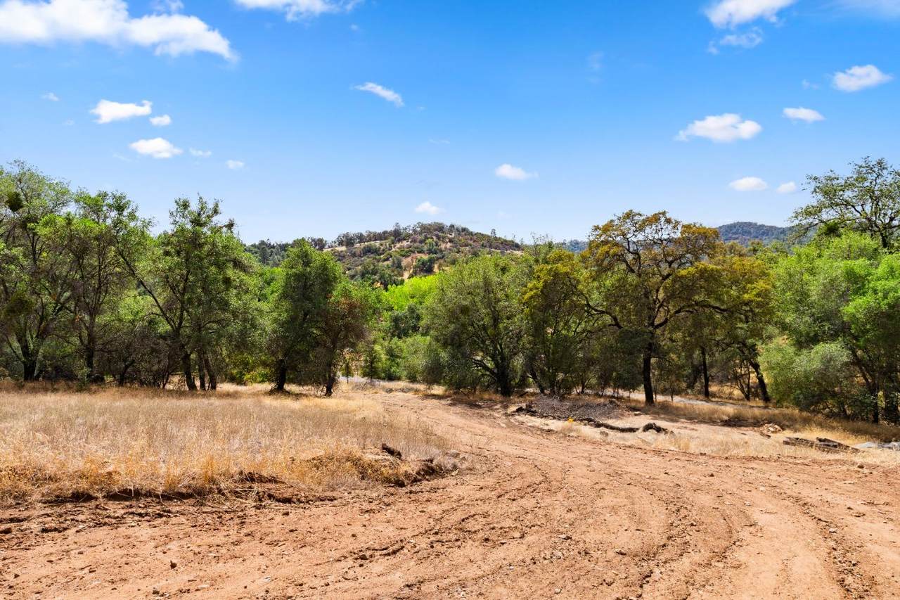 14576 Ballantree Lane - Photo 1