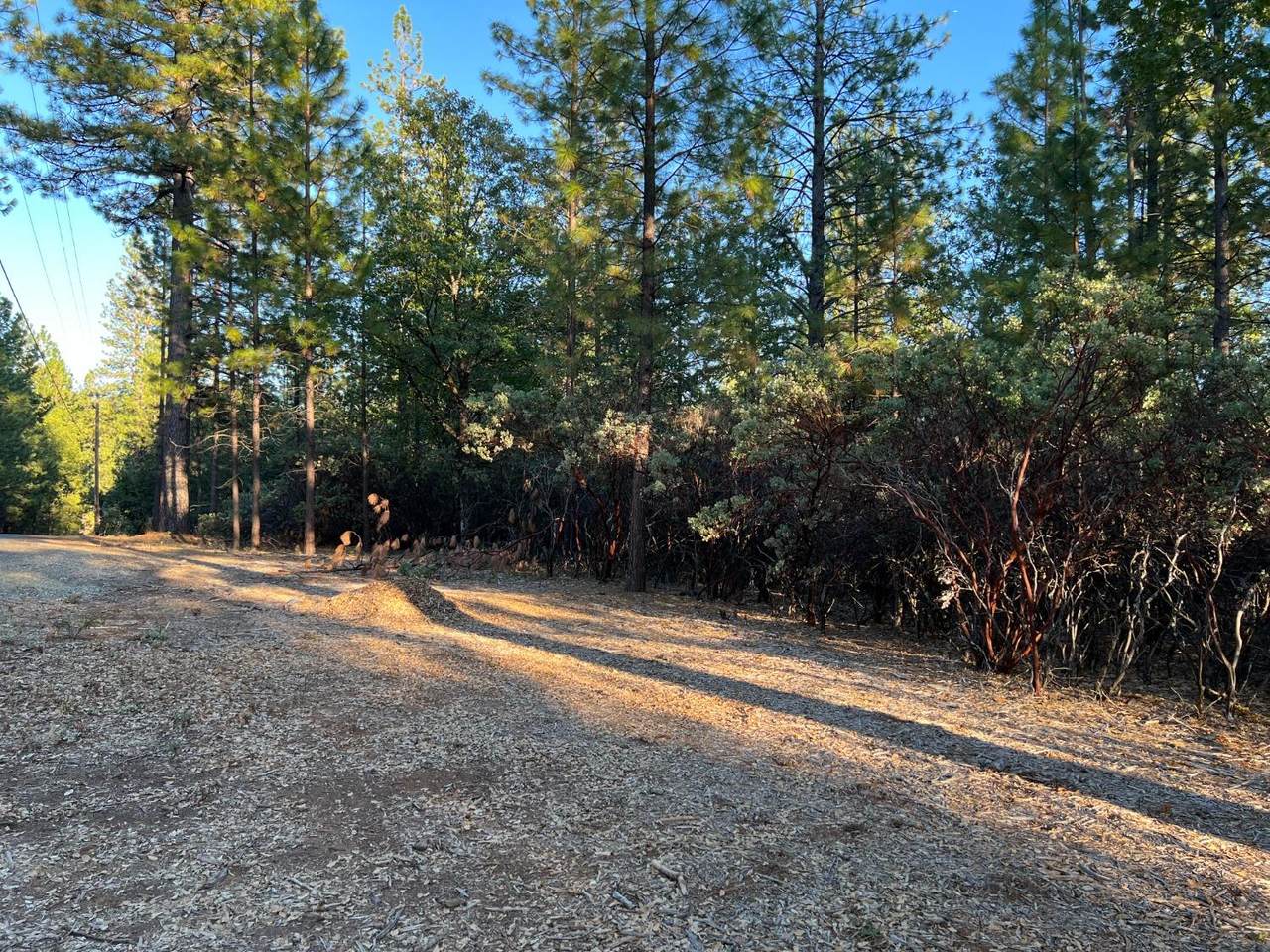 15380 Sunnyglade Road - Photo 1