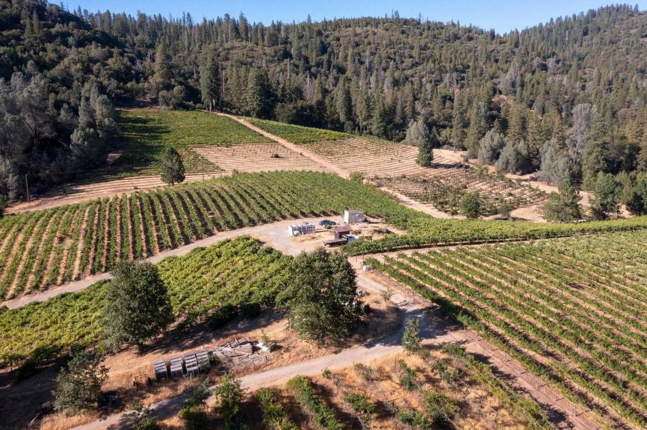 5200 Butte Creek Road - Photo 1