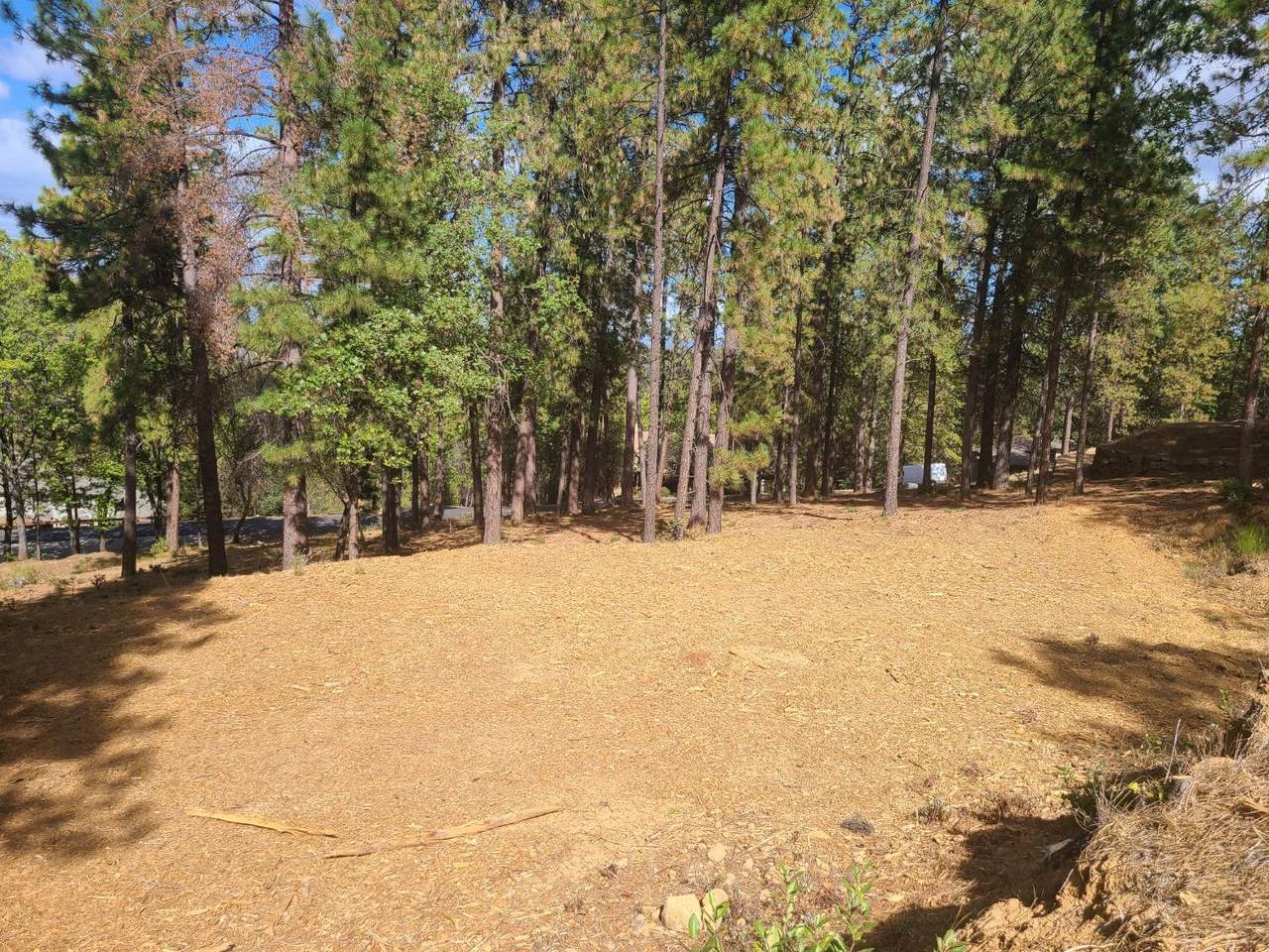 16430 Winchester Club Drive - Photo 1