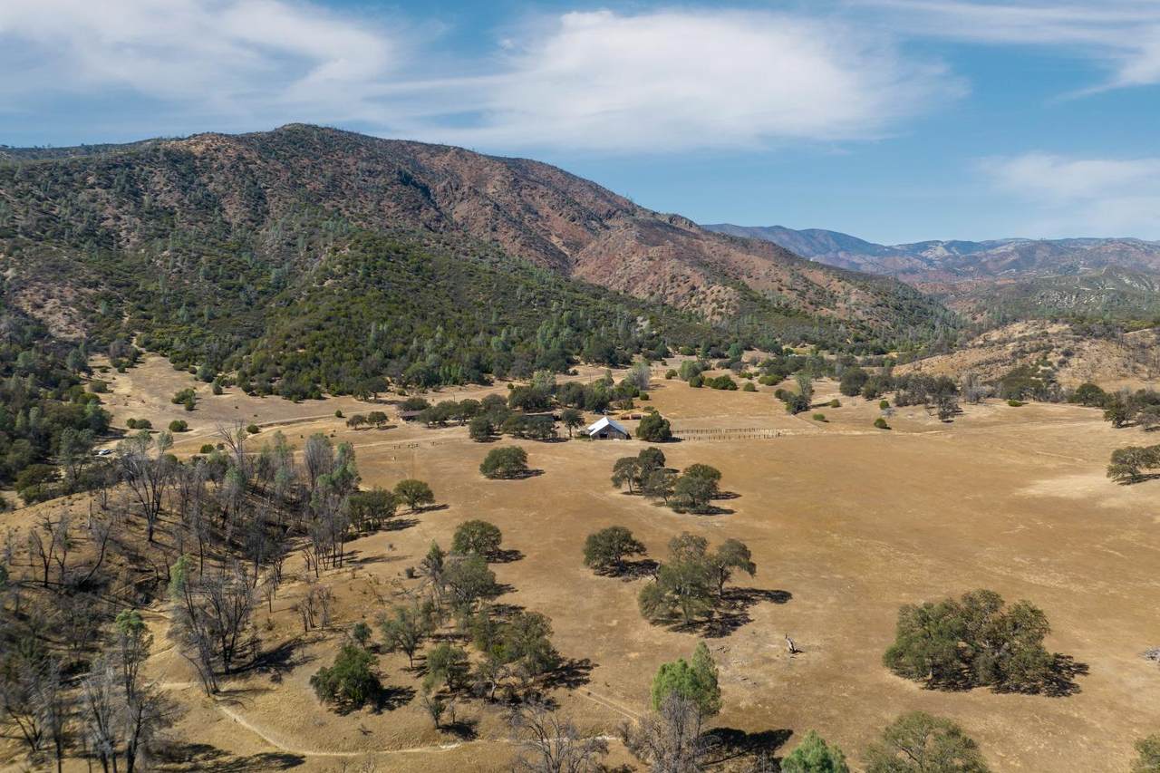 0 Del Puerto Canyon Road - Photo 1