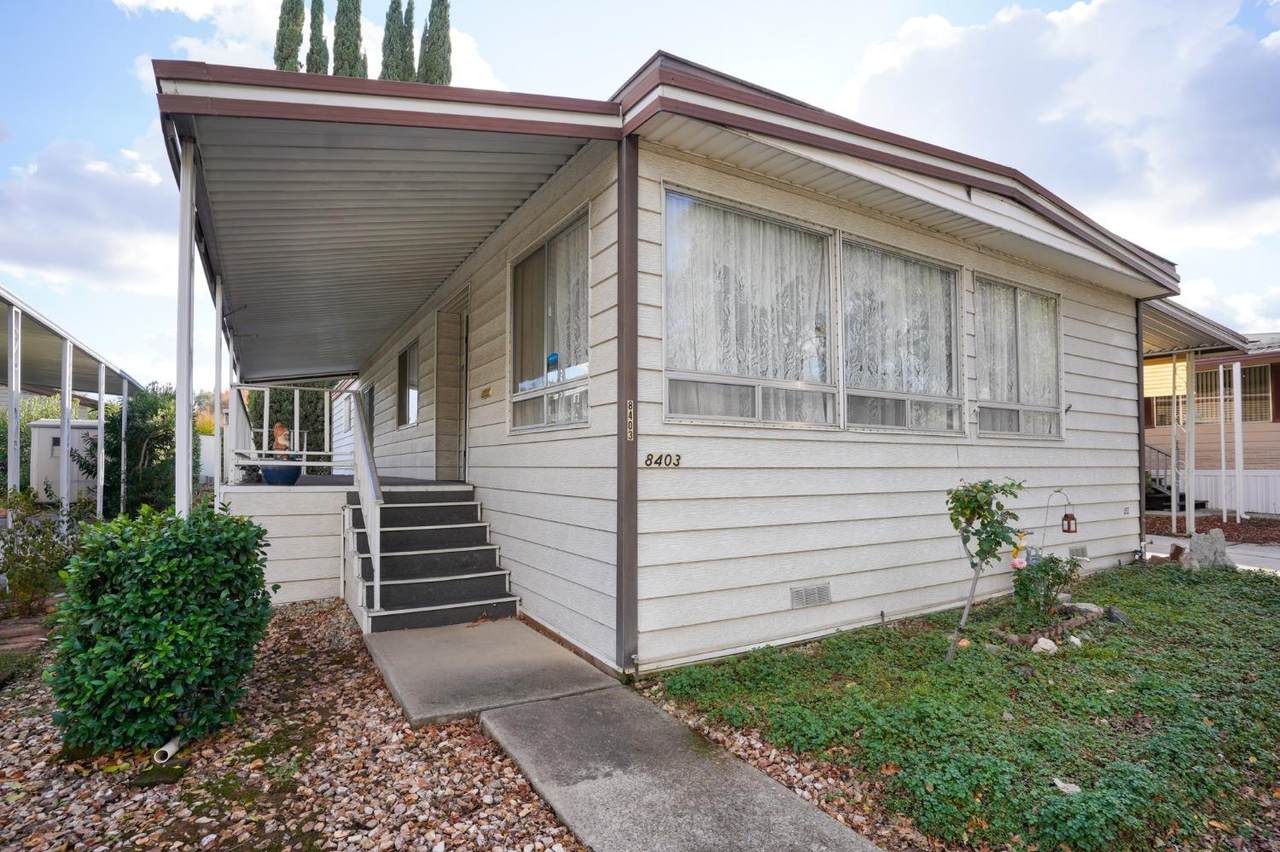 8403 Big Oak Drive - Photo 1