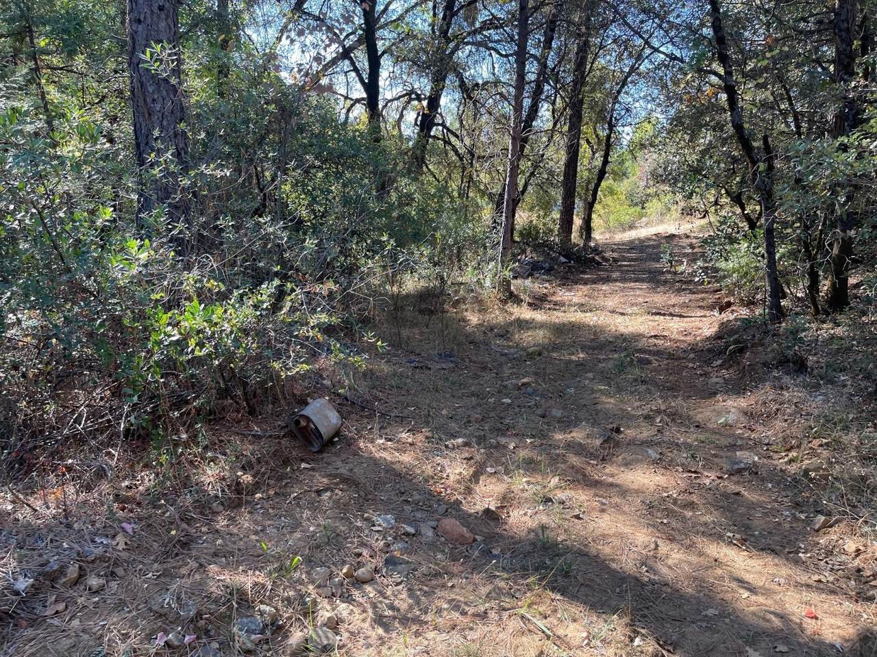 16472 Indiana Ranch Road - Photo 1