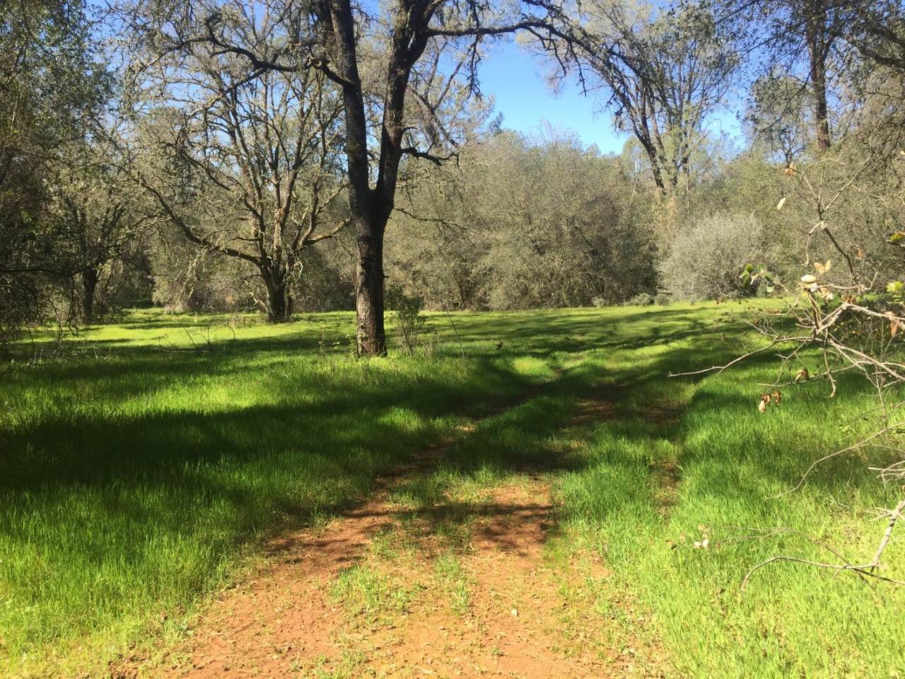 3 Diablo Circle - Photo 1