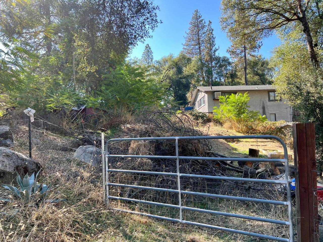 13 Oak Trail - Photo 1