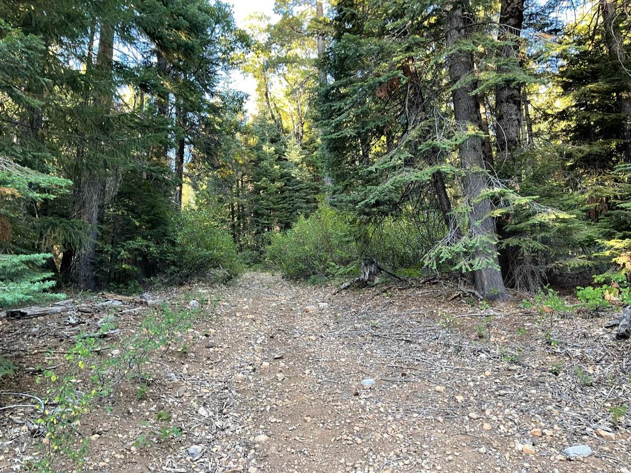 800 Mammoth Springs Rd - Photo 1