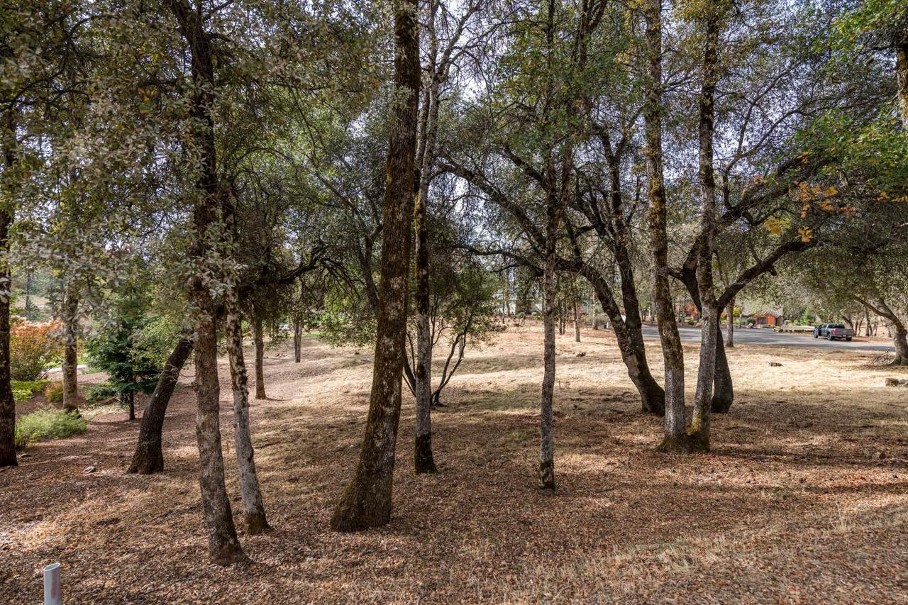 23390 Darkhorse Drive - Photo 1