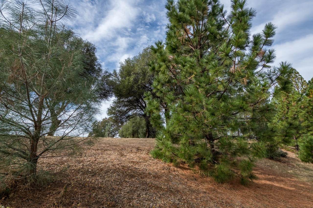 23690 Darkhorse Drive - Photo 1