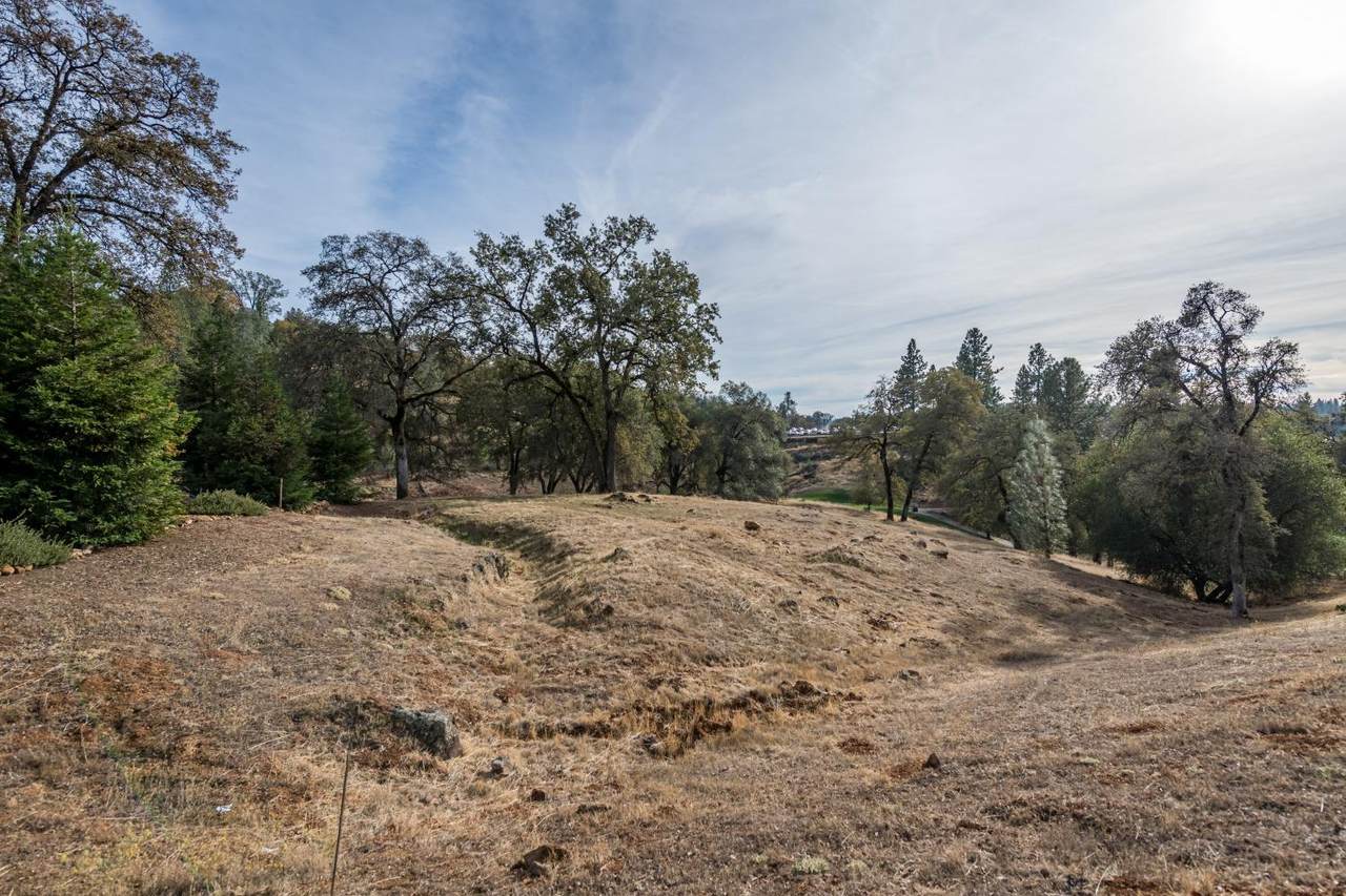 12974 Austin Forest Circle - Photo 1