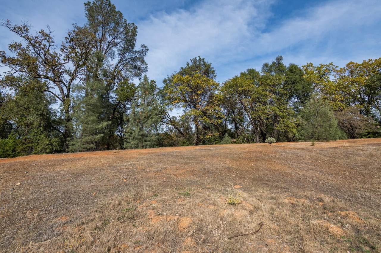 12878 Austin Forest Circle - Photo 1