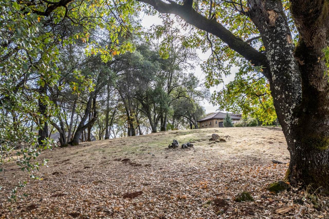 12853 Austin Forest Circle - Photo 1