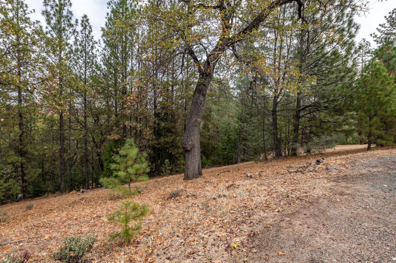 23771 Darkhorse Drive - Photo 1