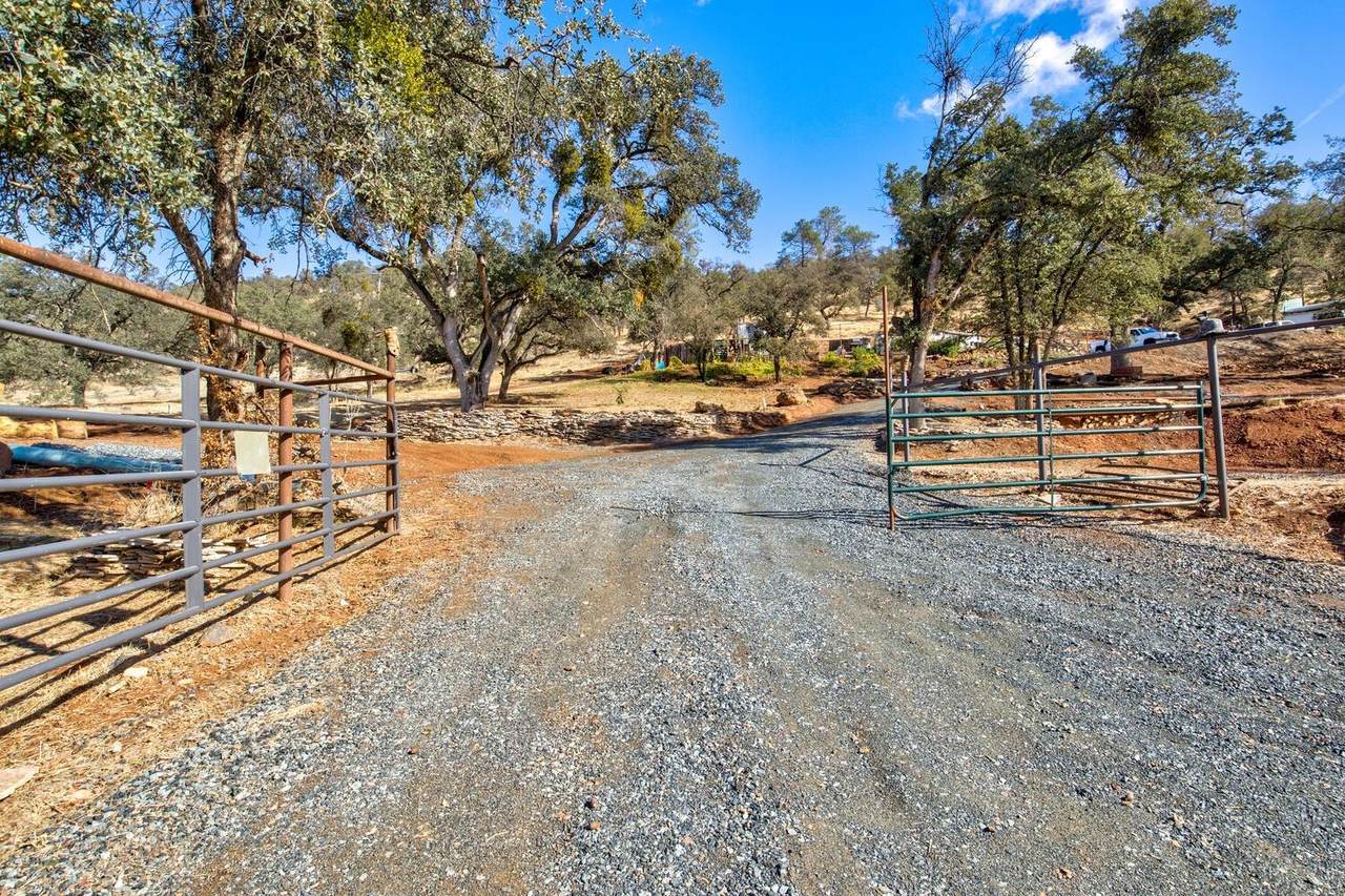 3591 Castillo Way - Photo 1