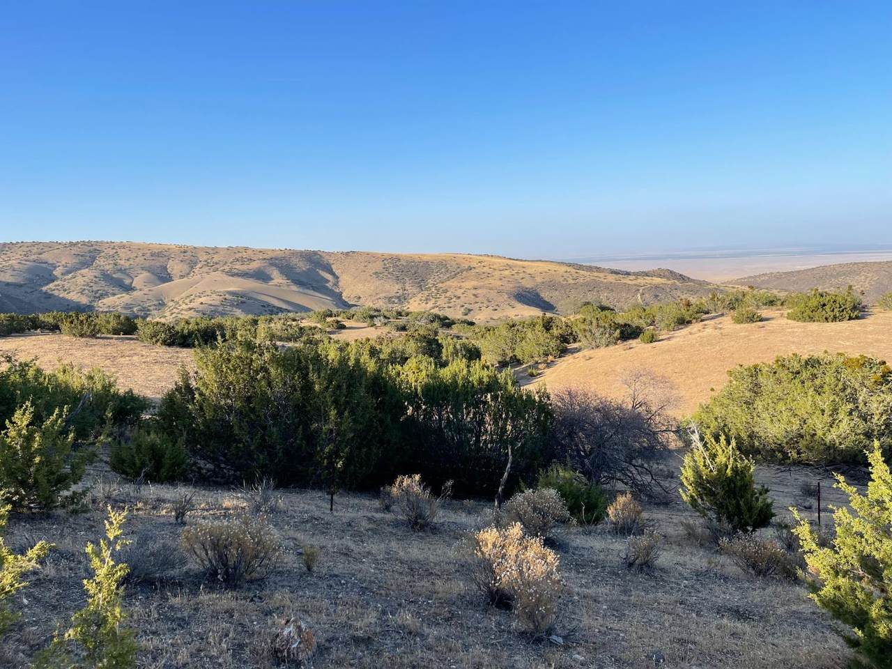 0 Carrisa Hwy - Photo 1