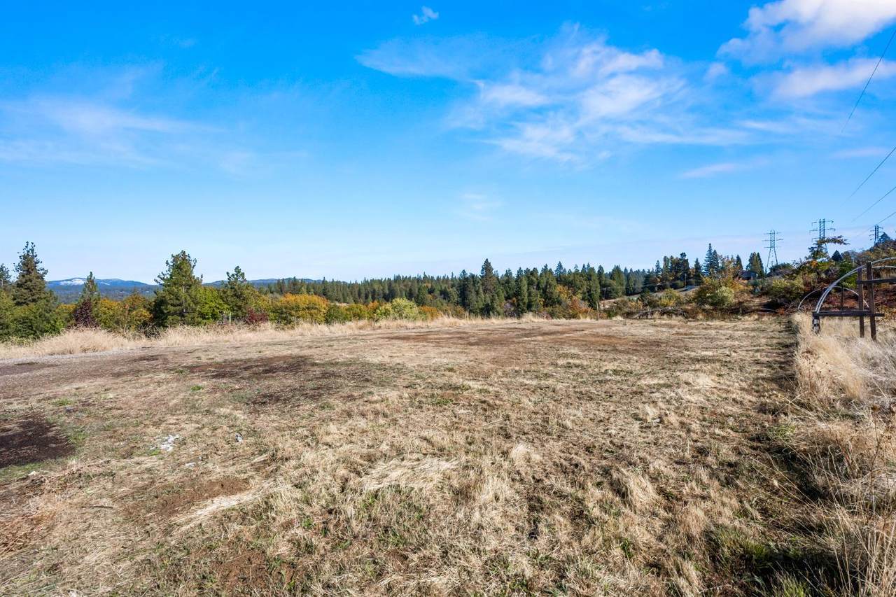 2700 Dancing Oaks - Photo 1
