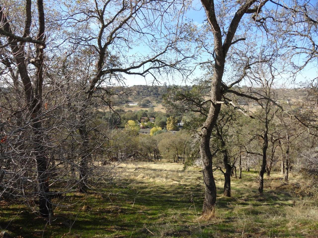 3703 Dunn Road - Photo 1