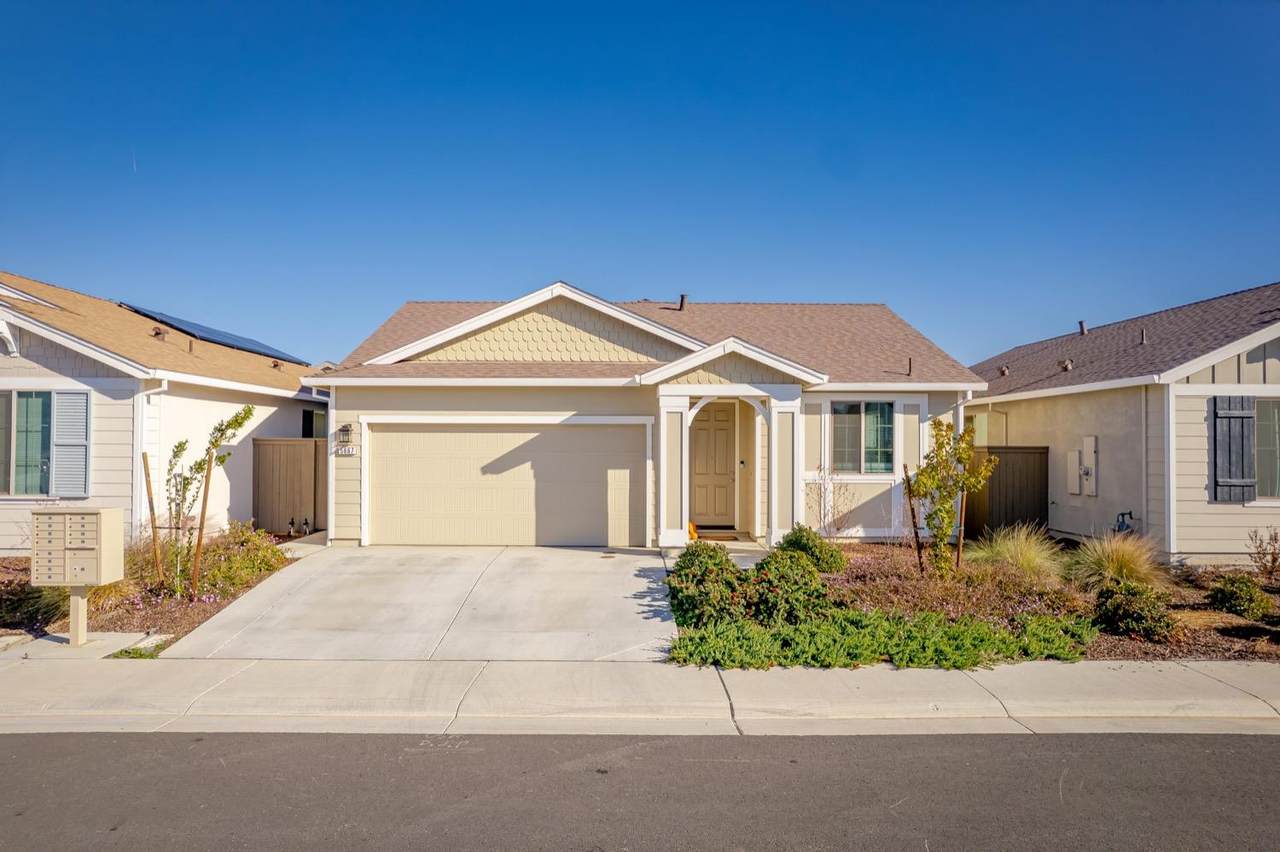 5667 Peach Tree Drive - Photo 1