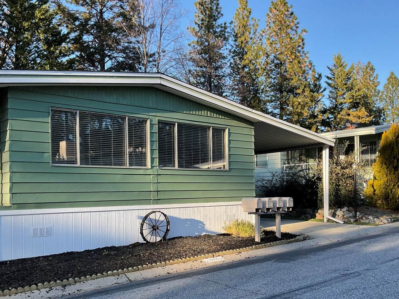 10036 Grinding Rock Drive - Photo 1