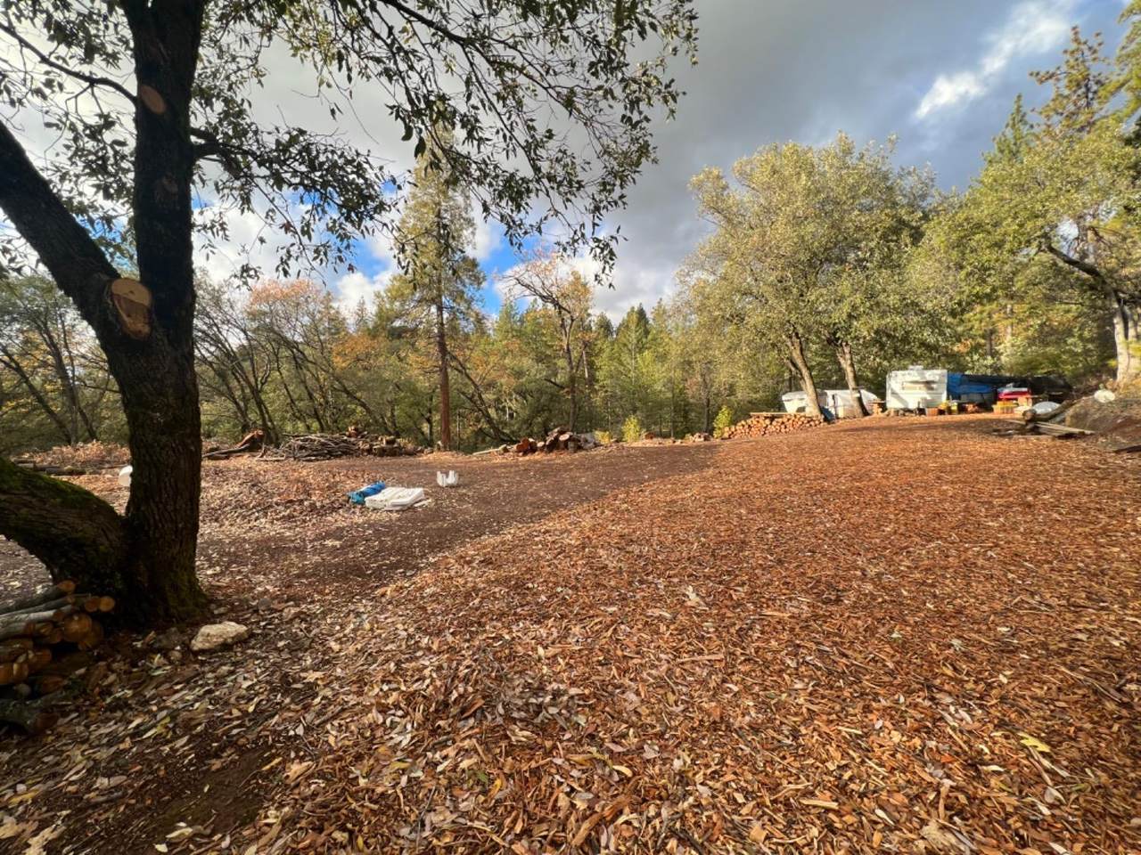 20382 Wildflower Lane - Photo 1