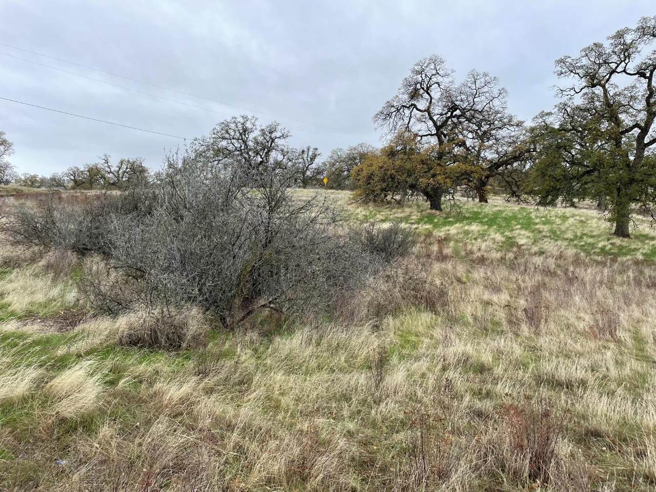 0 Lake Don Pedro 2 Lot 647 1.2Ac - Photo 1