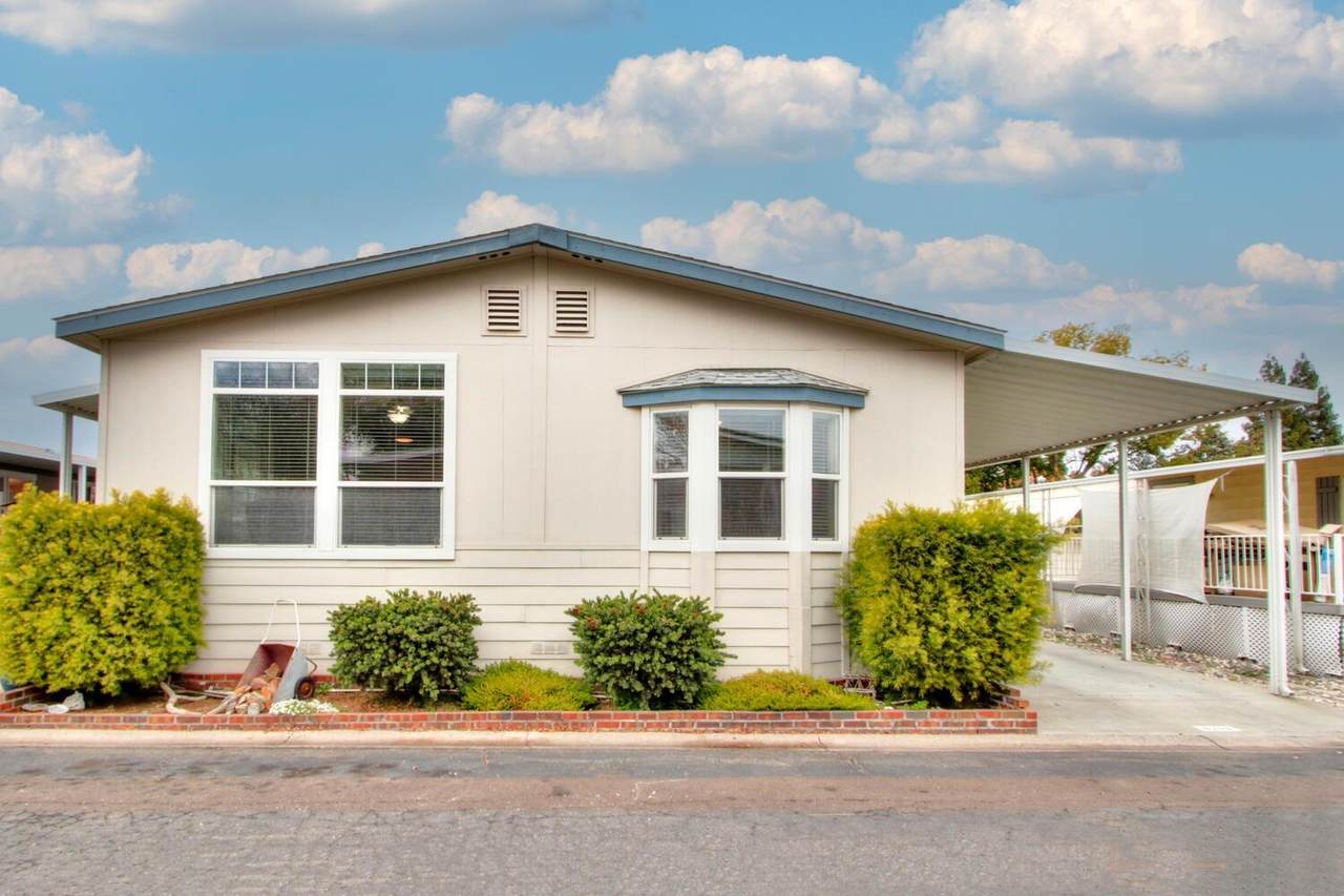 6203 Rebel Circle - Photo 1
