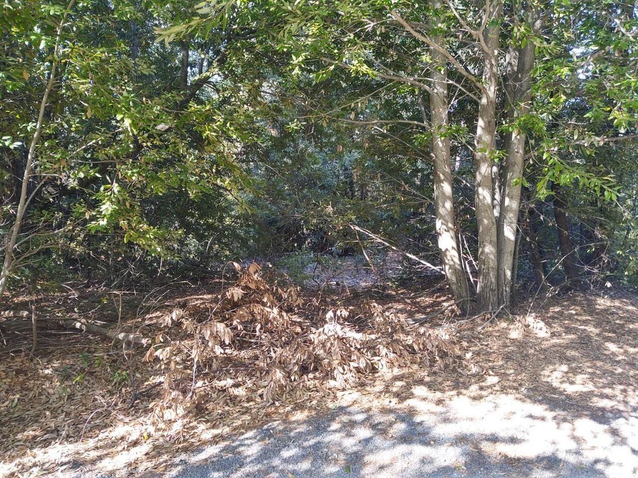 0 7 Sunset Peak Ln - Photo 1