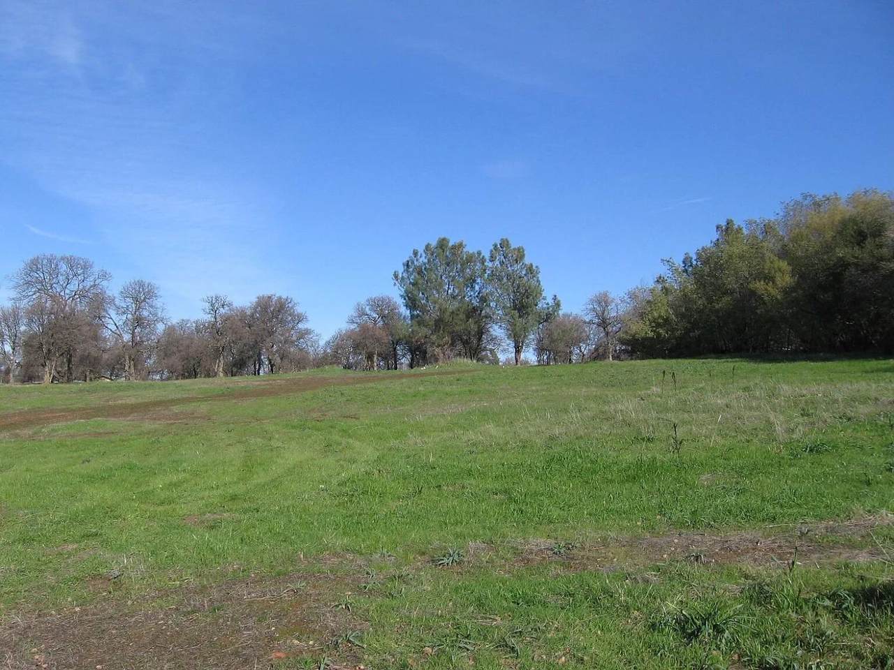 3431 Oro Bangor Highway - Photo 1