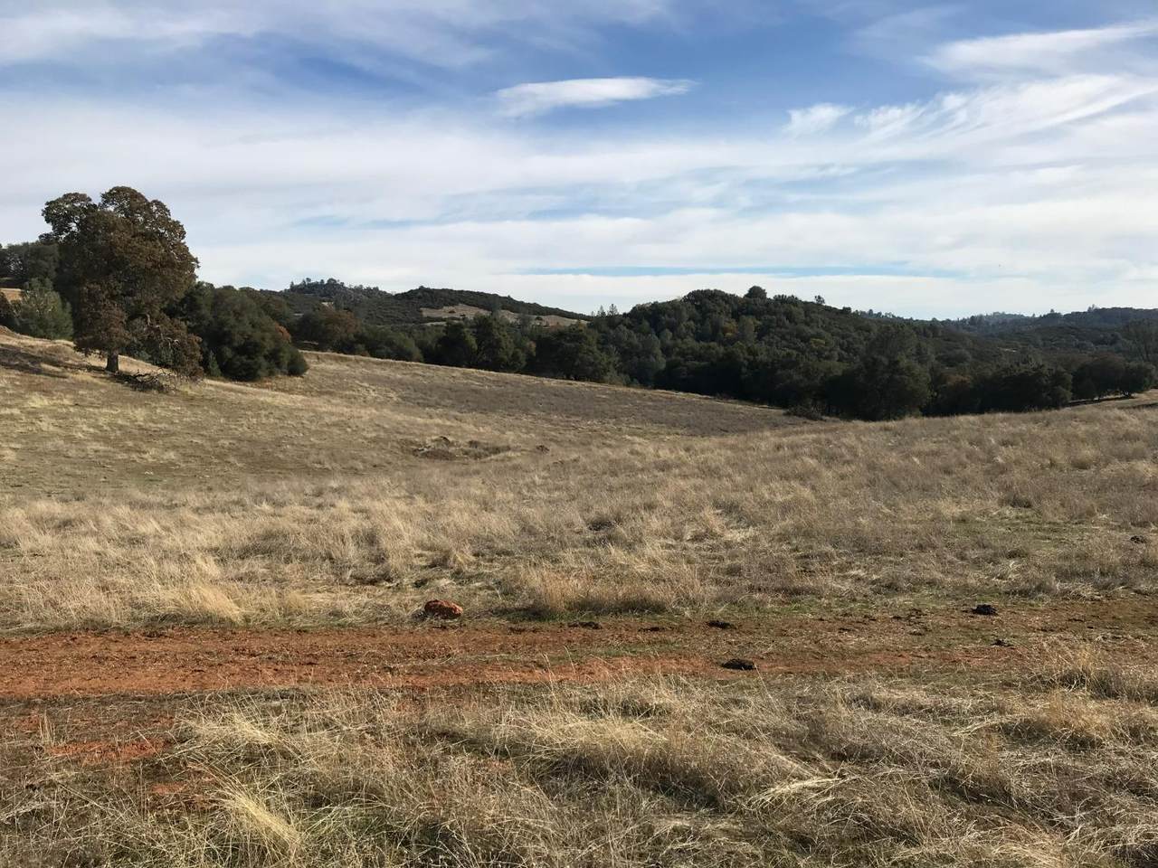 0 1751* Lotus Road - Photo 1
