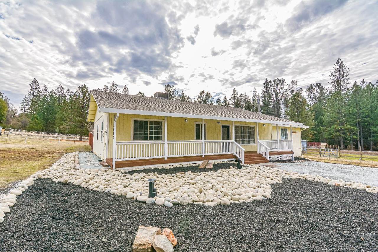 3092 Buckboard Road - Photo 1