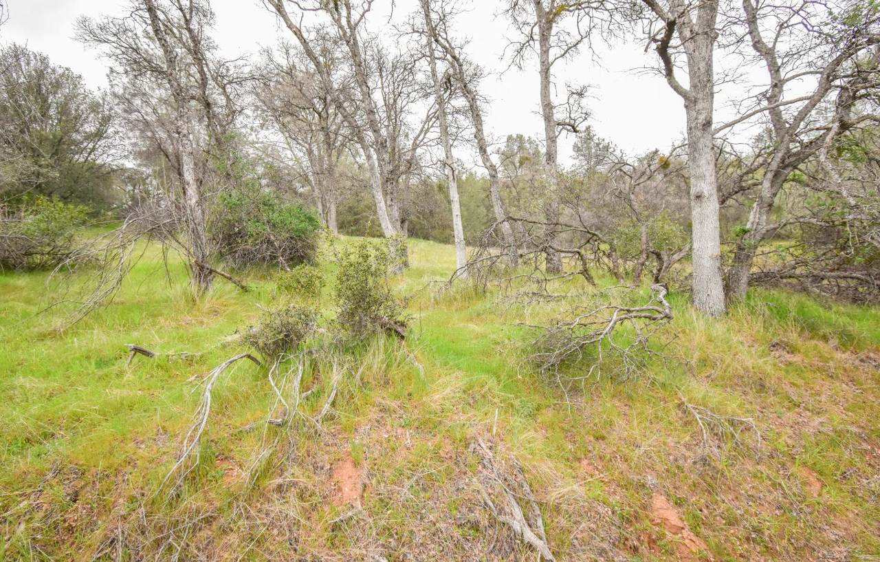13640 Albert Lane - Photo 1