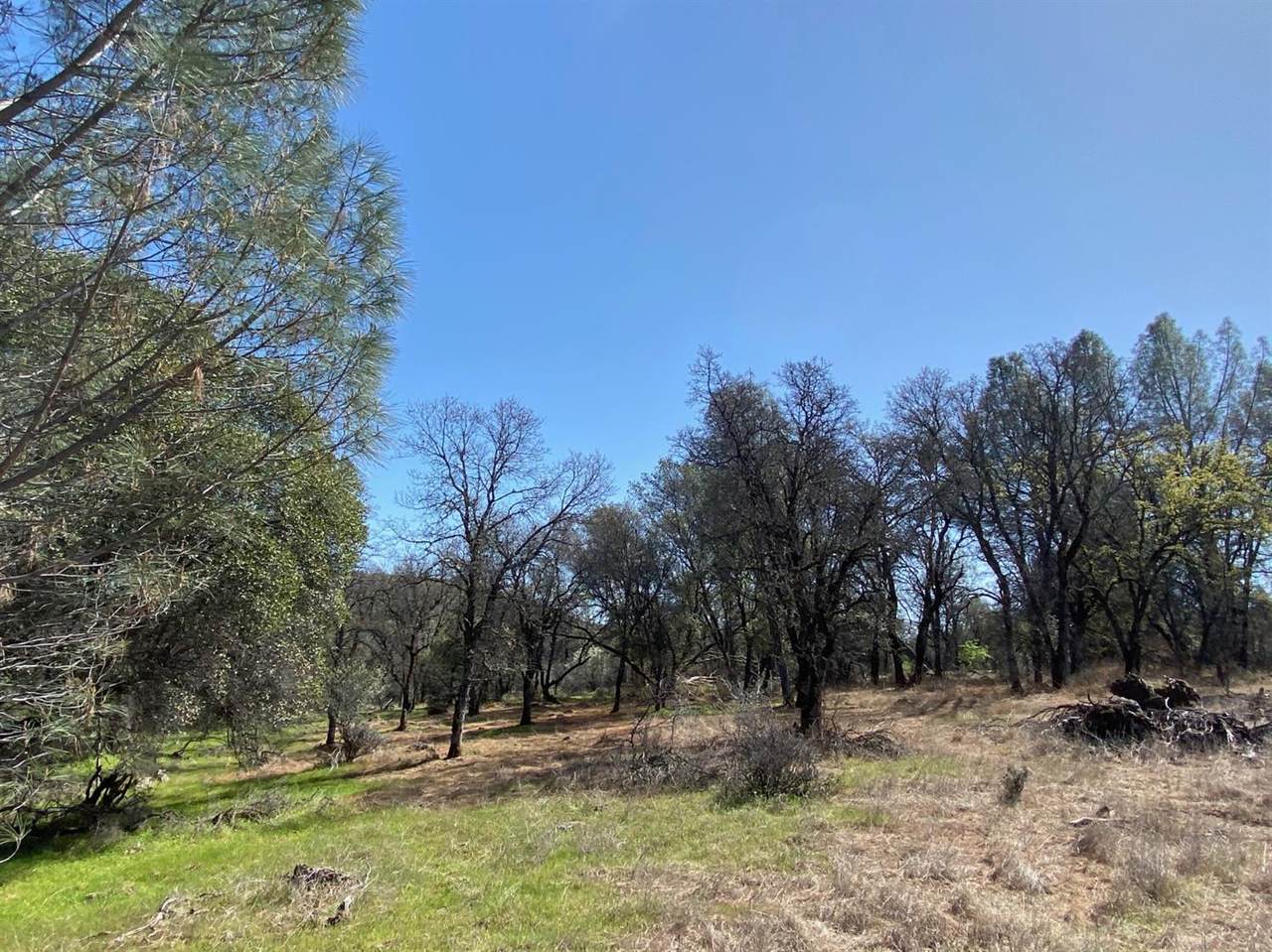 https://bt-photos.global.ssl.fastly.net/sacramento/1280_boomver_1_560459249-2.jpg