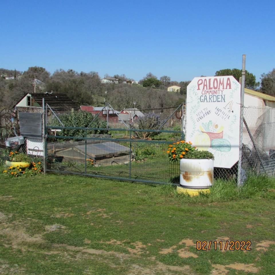 6201 Paloma Road - Photo 1