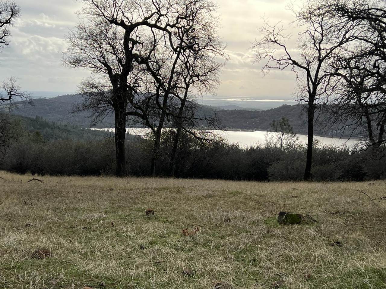 13447 County Road 270 - Photo 1