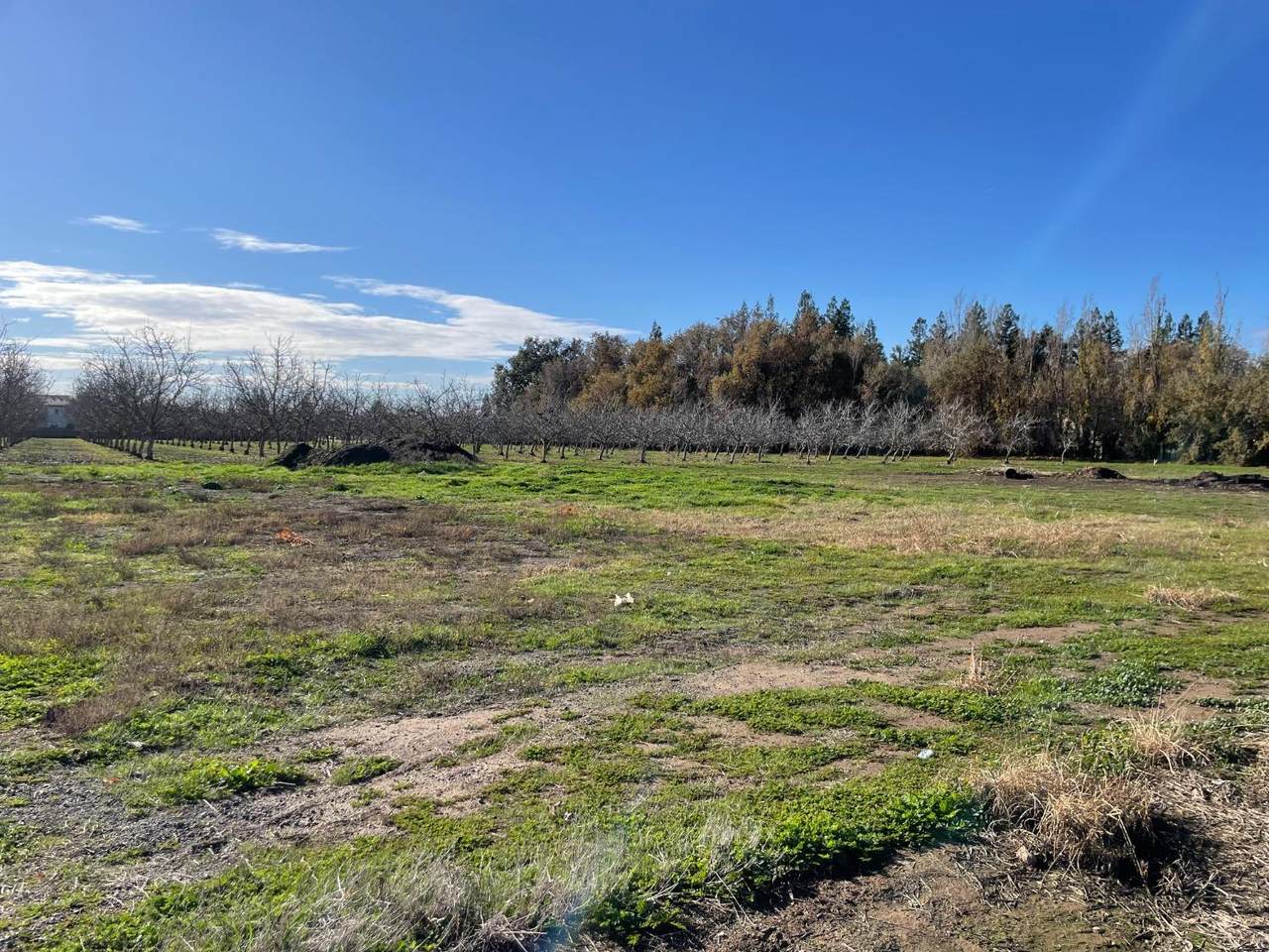 0 Justeson Rd - Photo 1
