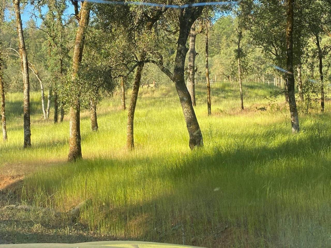 6002 Clark Mountain Road - Photo 1