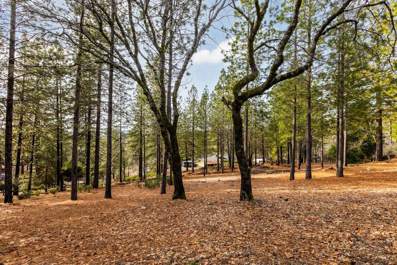 12788 Friar Tuck Road - Photo 1