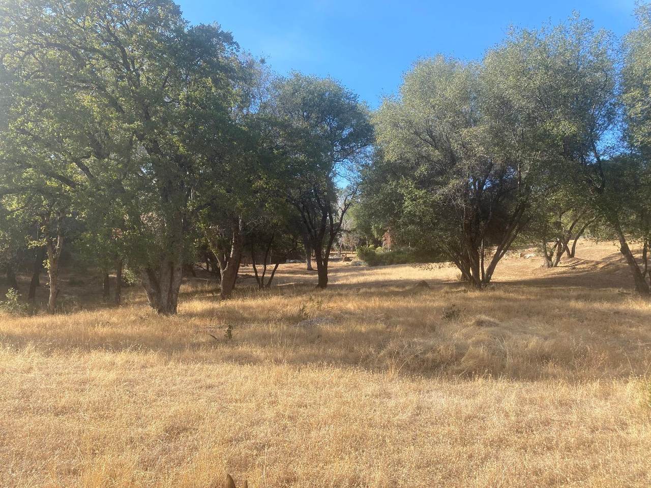 13726 Wildwood Heights Drive - Photo 1