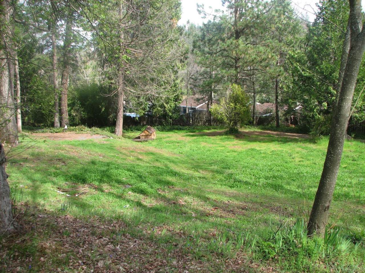 125 Pinewood Way - Photo 1