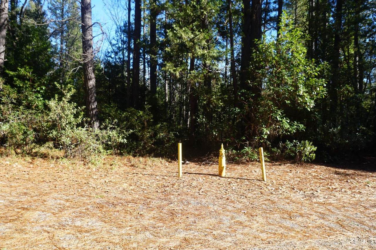 0 Frenchtown Rd - Photo 1
