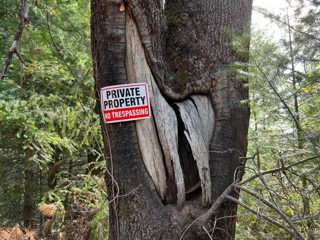 0 Tin Ranch Road - Photo 1