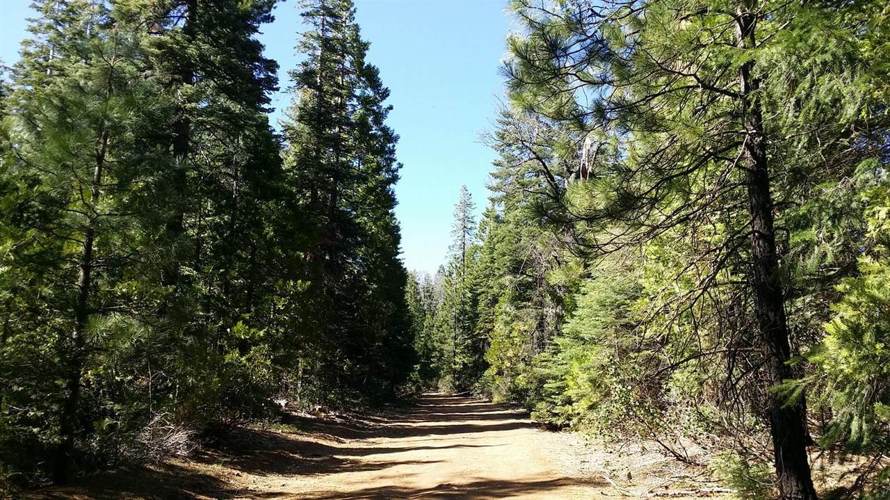 https://bt-photos.global.ssl.fastly.net/sacramento/1280_boomver_1_560591127-2.jpg