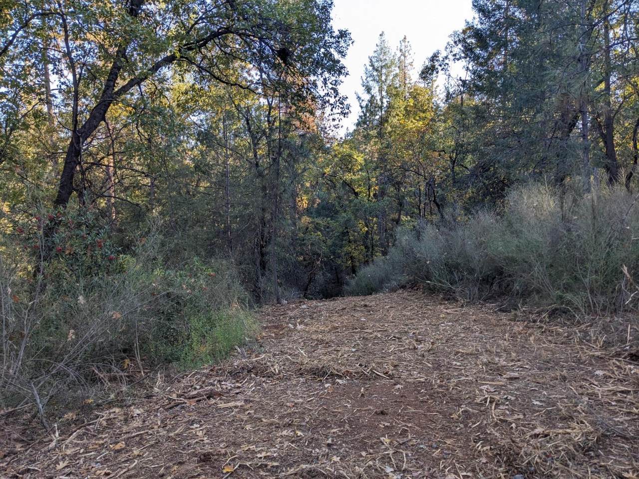 https://bt-photos.global.ssl.fastly.net/sacramento/1280_boomver_1_560595261-2.jpg