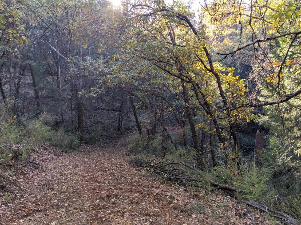 https://bt-photos.global.ssl.fastly.net/sacramento/1280_boomver_1_560595261-2.jpg