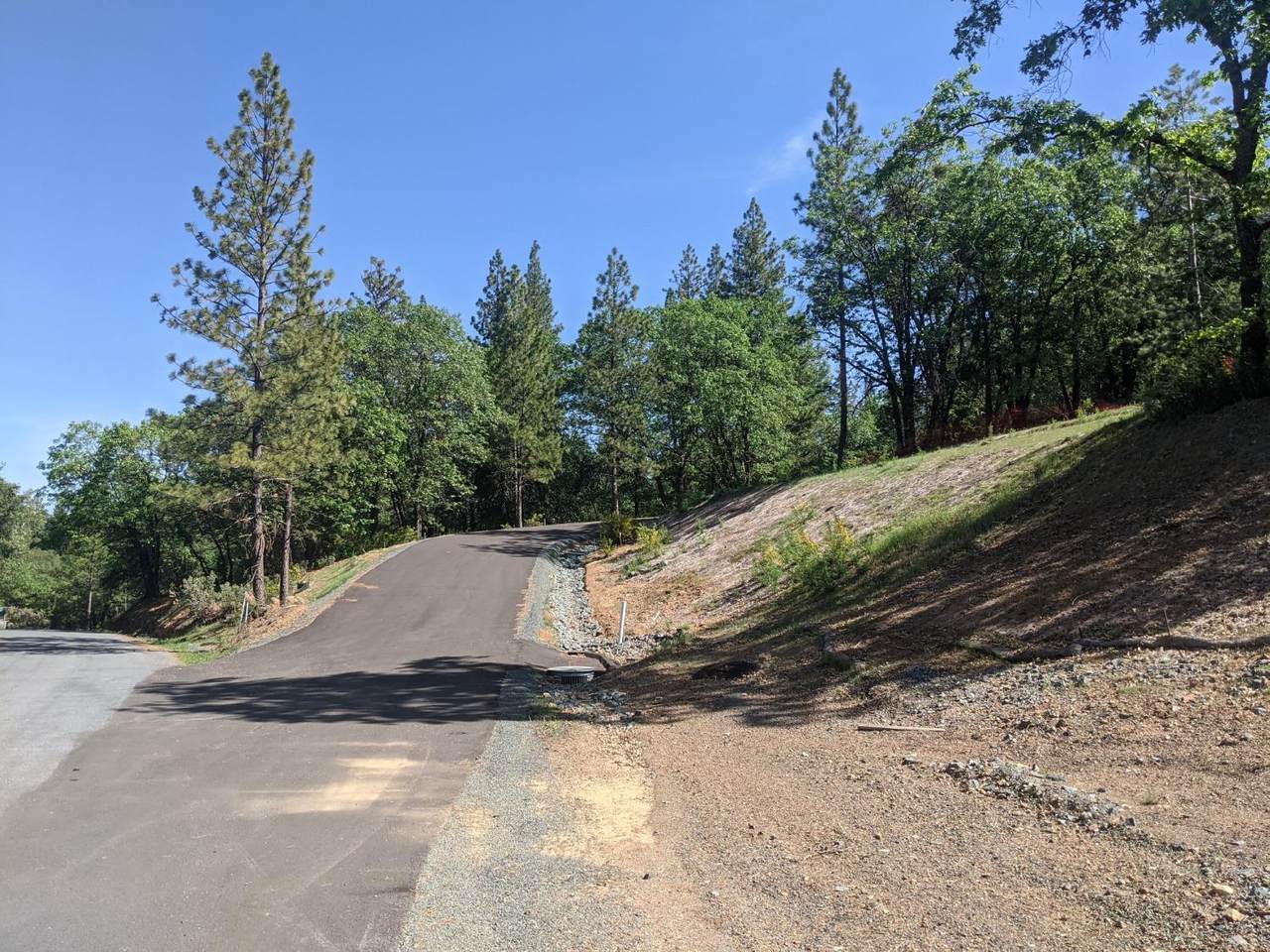 https://bt-photos.global.ssl.fastly.net/sacramento/1280_boomver_1_560631963-2.jpg